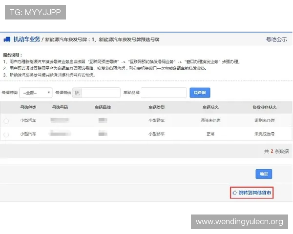 问鼎平台入口网址官方最新登录地址及安全验证流程详细指南，确保账号安全顺利登录